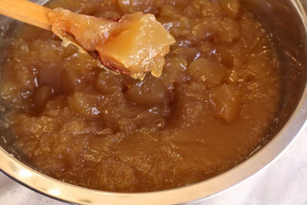 large bowl with a spoon full of thick gelatinous bone broth