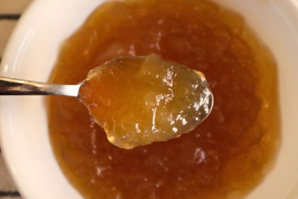 spoon full of gelled bone broth showing thick texture