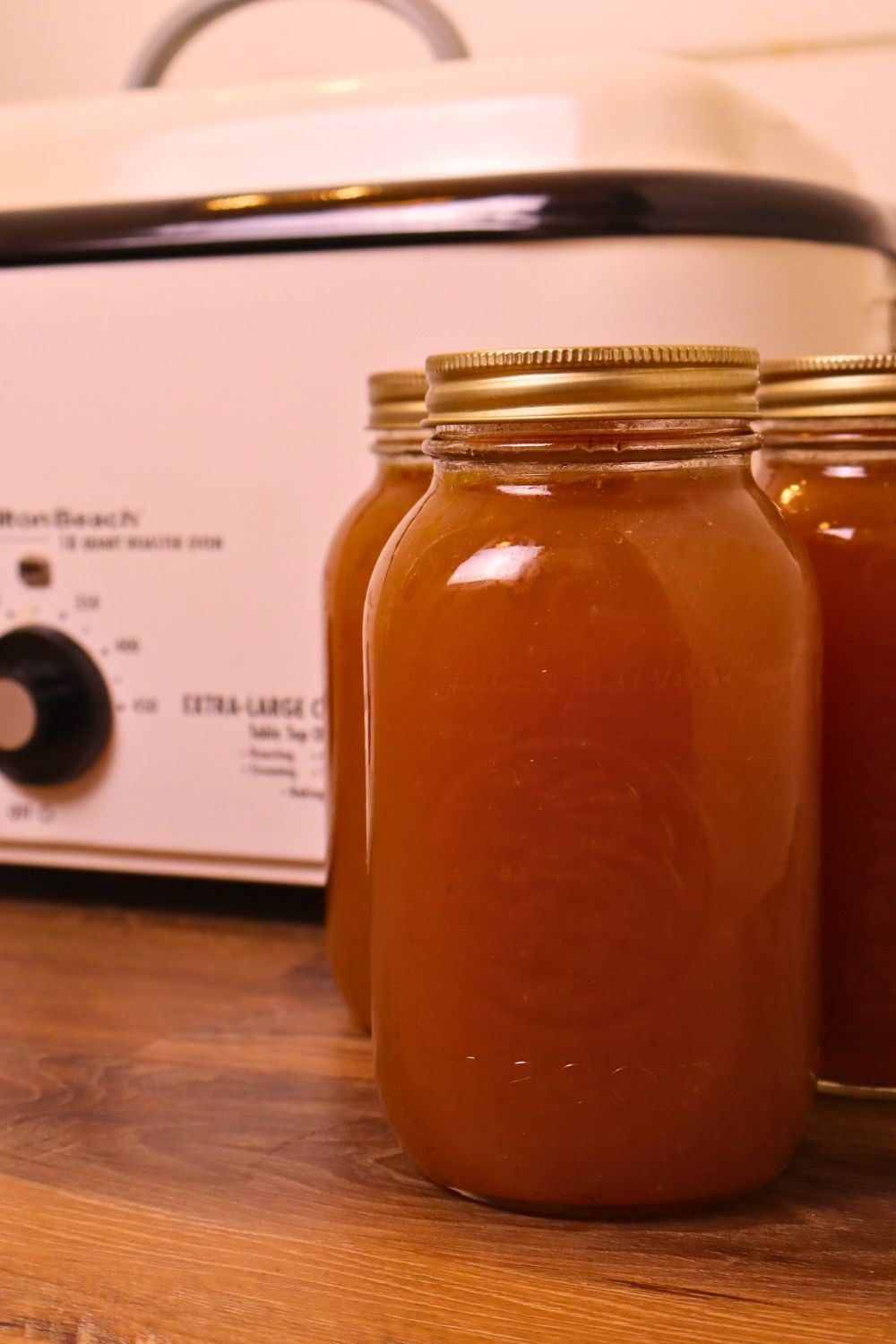 3-quart mason jars full of chicken bone broth and an electric roaster
