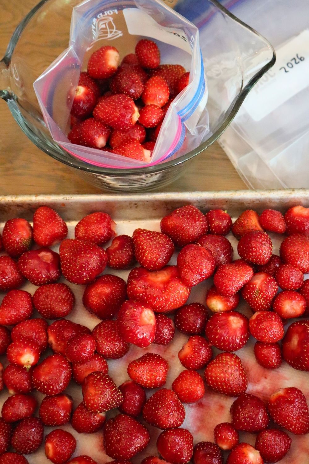 How to Freeze Strawberries (The Best Way to Preserve Fresh Berries) 11 Transferring frozen strawberries from sheet pan to freezer bags - complete visual guide on how to freeze strawberries for storage
