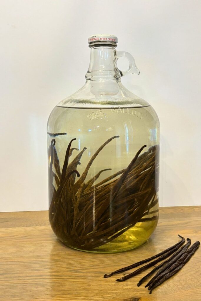 Large Batch Homemade Vanilla Extract Recipe with Vodka 11 Gallon jar filled with vodka and vanilla beans, with extra vanilla beans laying beside it