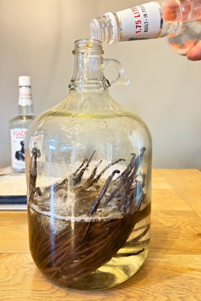 Large Batch Homemade Vanilla Extract Recipe with Vodka 10 Pouring vodka into a gallon jar filled with vanilla beans to make homemade vanilla extract