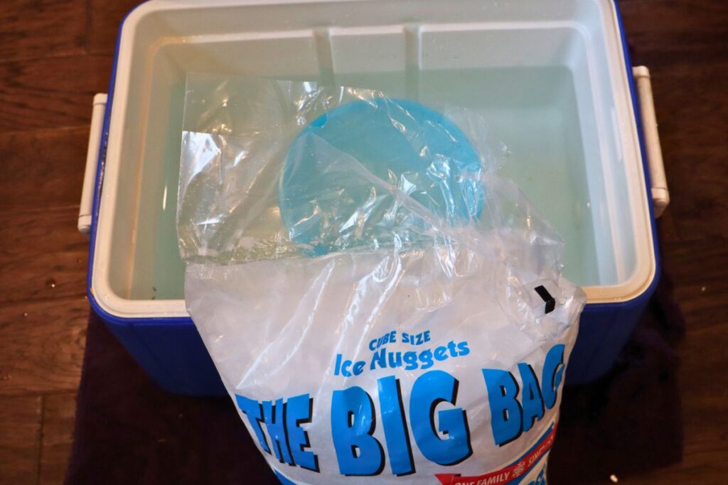How to Freeze Sweet Corn: A Step-by-Step Preservation Guide 6 Cooler with a bag of ice ready to cool sweet corn after blanching.