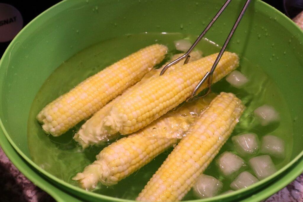 How to Freeze Sweet Corn: A Step-by-Step Preservation Guide 9 Blanched corn ears being lifted from water with tongs to cool