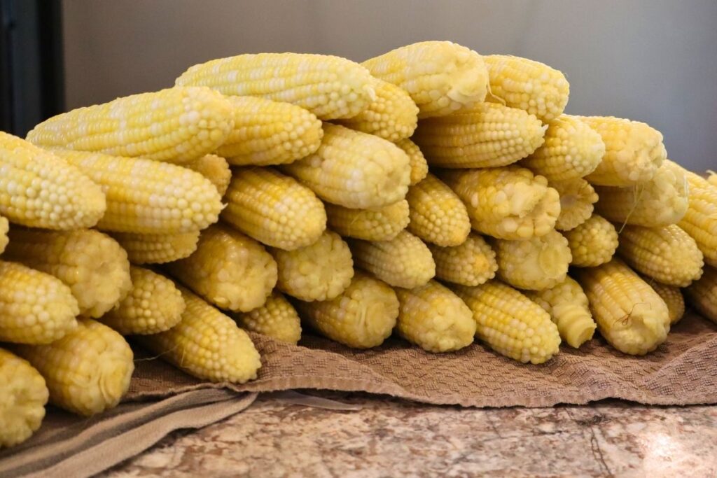 How to Freeze Sweet Corn: A Step-by-Step Preservation Guide 11 freeze sweet corn pile husked ears Gather at the Farmhouse