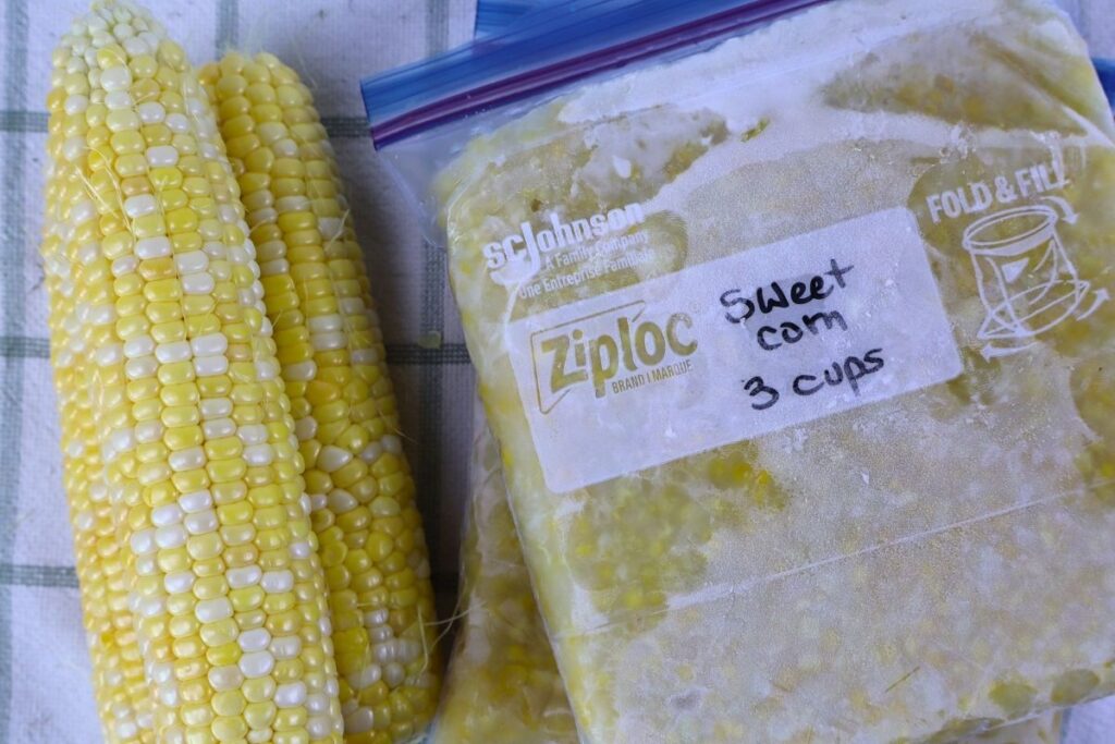 How to Freeze Sweet Corn: A Step-by-Step Preservation Guide 21 freeze sweet corn raw cob and bag Gather at the Farmhouse