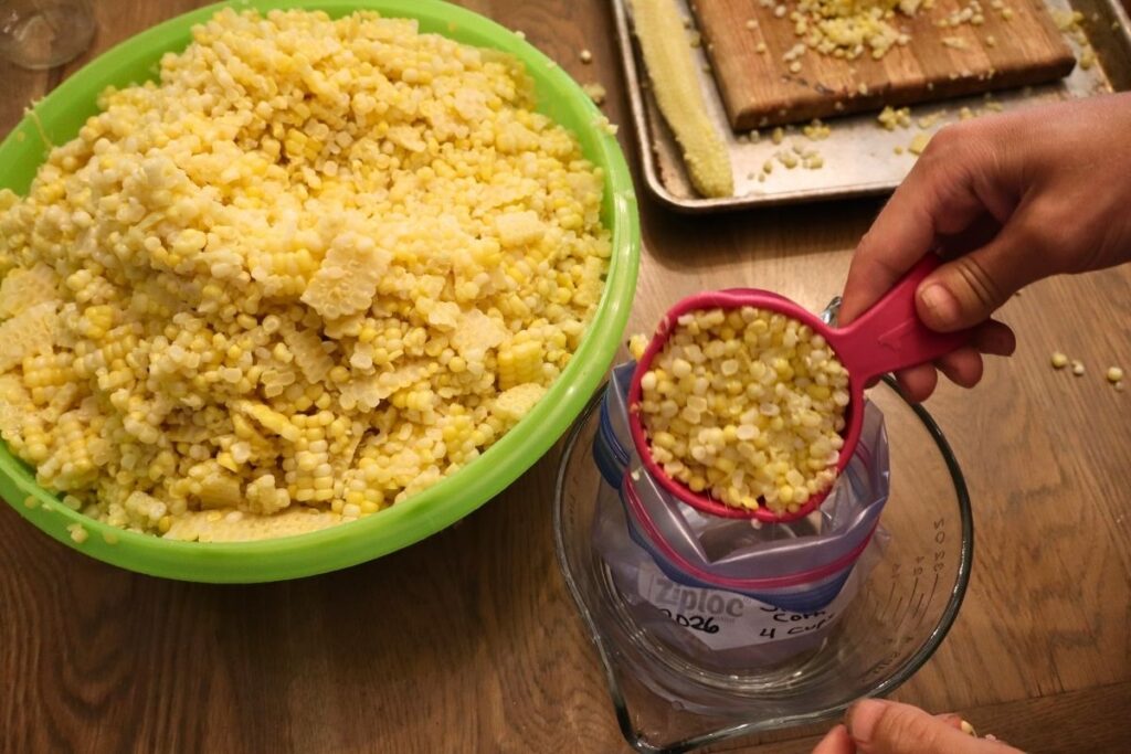 How to Freeze Sweet Corn: A Step-by-Step Preservation Guide 16 freeze sweet corn scooping into bags Gather at the Farmhouse