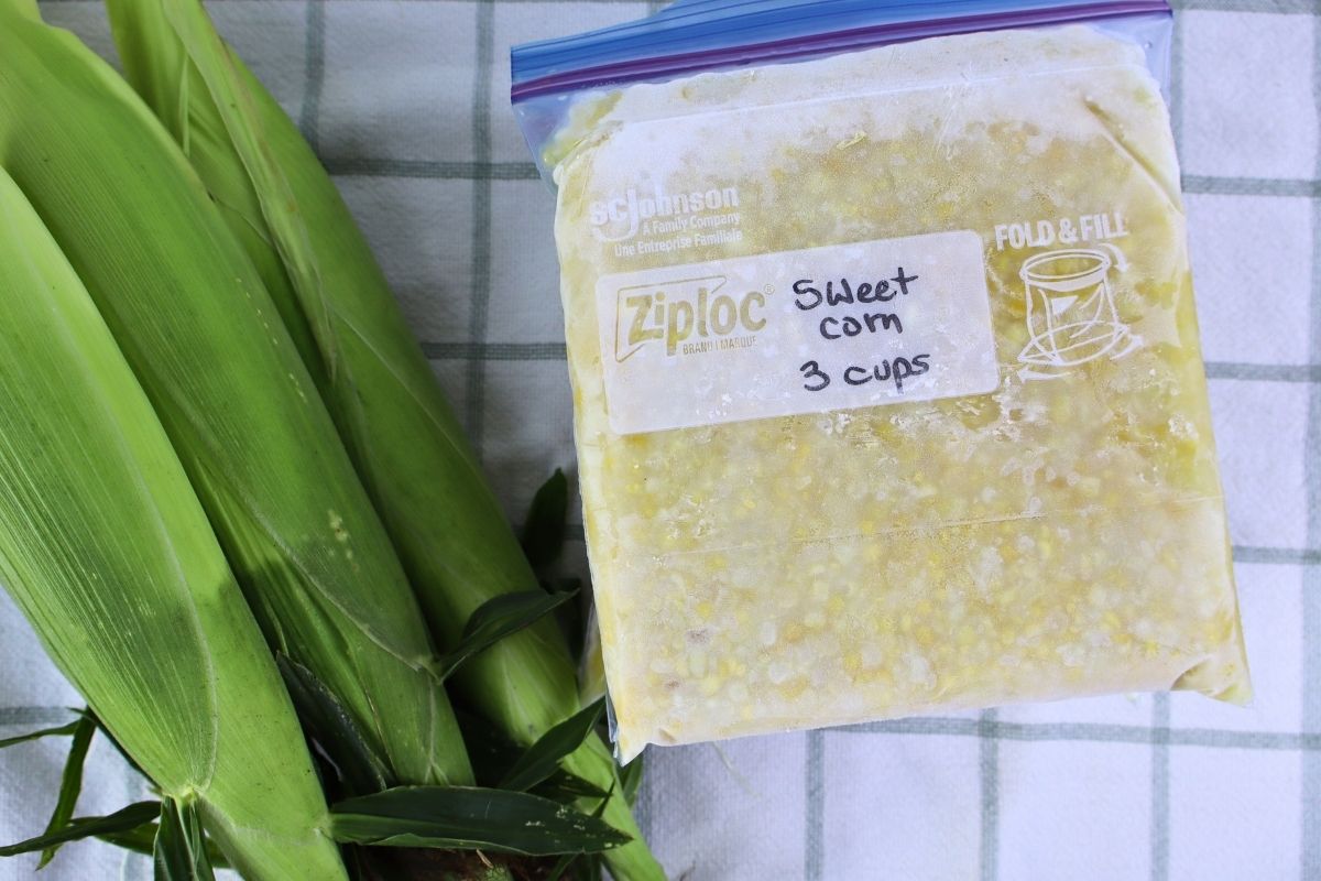 Fresh sweet corn ears in the husk with a frozen bag of sweet corn for step-by-step instructions of how to freeze sweet corn.