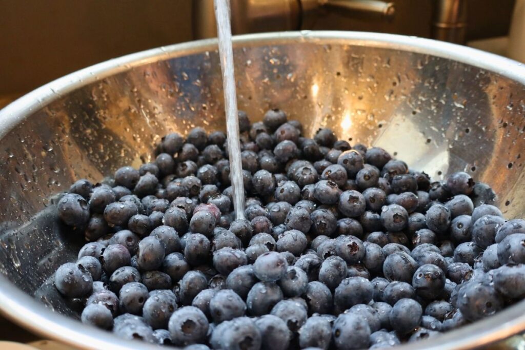 How to Freeze Fresh Blueberries for Year-Round Use 7 How to freeze fresh blueberries — rinsing and sorting ripe blueberries before freezing