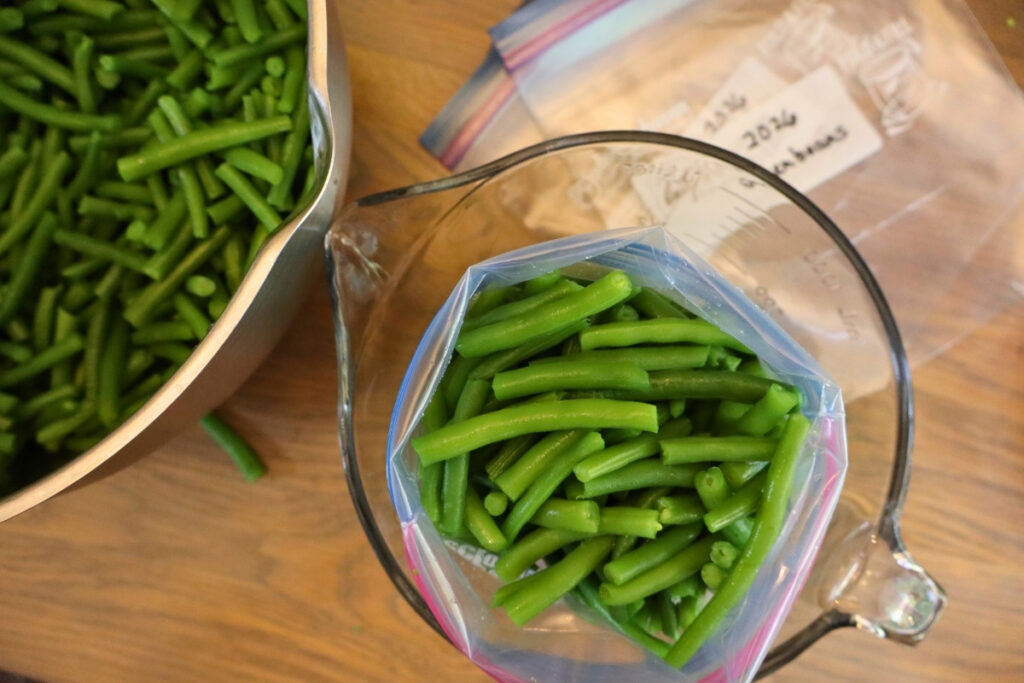 How to Freeze Fresh Green Beans From the Garden 11 Cooled green beans being scooped into a freezer bag set in a measuring cup