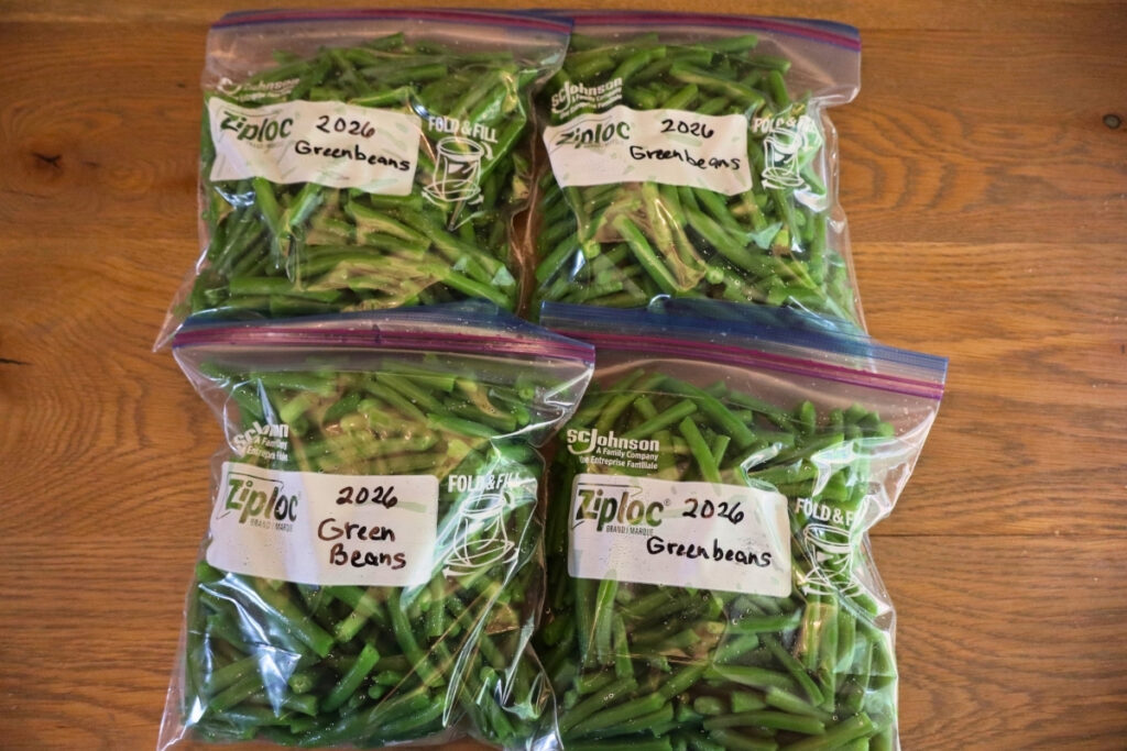 How to Freeze Fresh Green Beans From the Garden 12 Four labeled Ziploc freezer bags filled with green beans on a wooden table